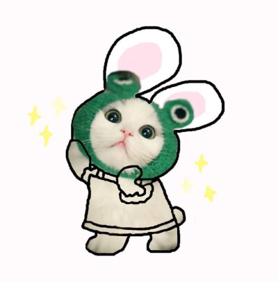 蠢兔兔