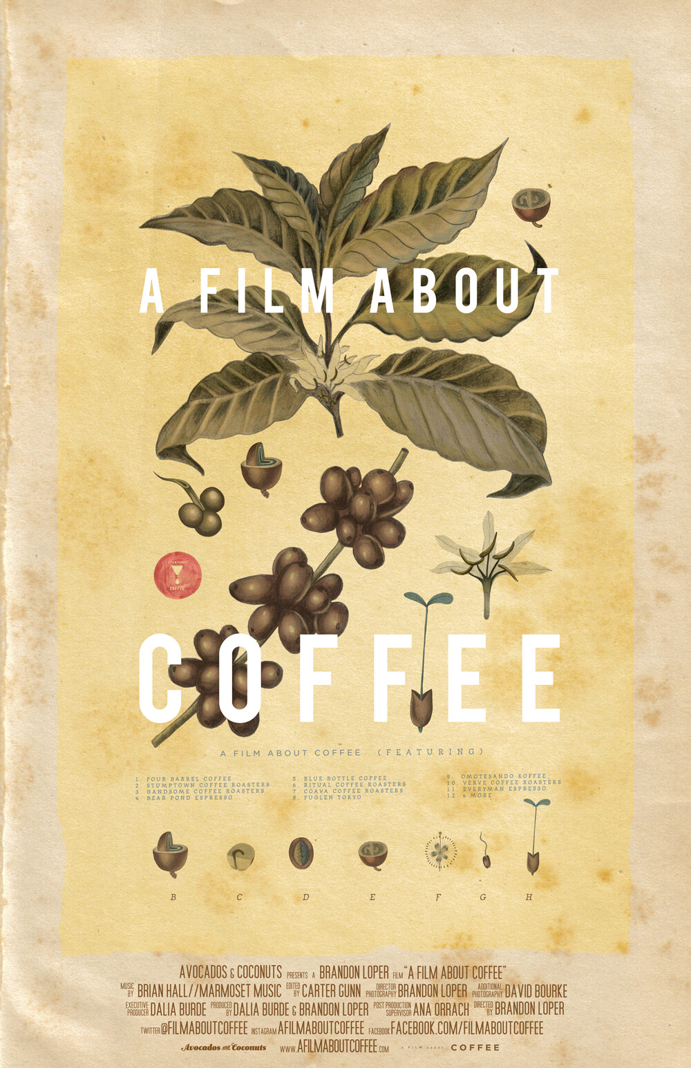 《一部关于咖啡的电影 A Film about Coffee》自从上班染上喝咖啡的矫情习惯以后，也自觉的看一些相关片子来丰富一下自己的相关知识，偶尔紧急情况下还可以装一下，O(∩_∩)O哈哈哈~