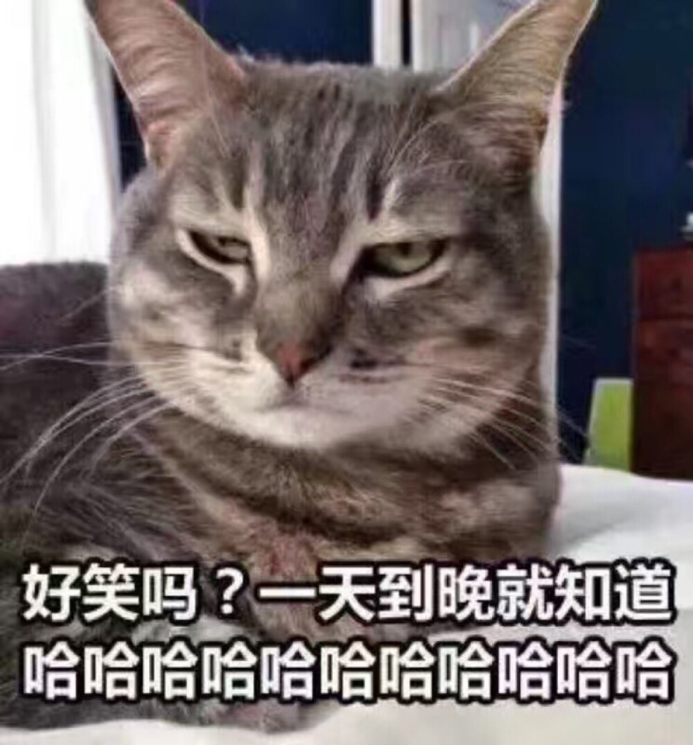 这个真的笑到我了哈哈哈哈哈