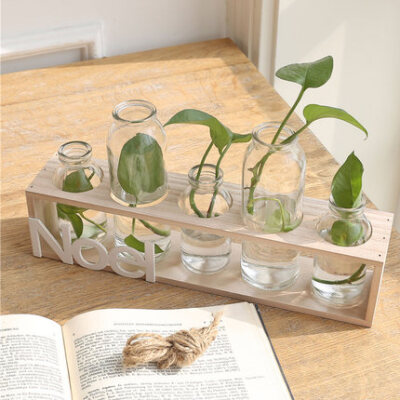 简约透明玻璃台面小花瓶 水培绿萝植物客厅摆件 五联木座花瓶
