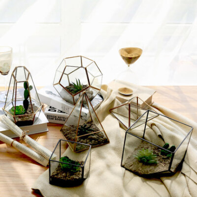 玻璃罩几何透明花房DIY多肉微景观花瓶摆件客厅家居装饰品摆设