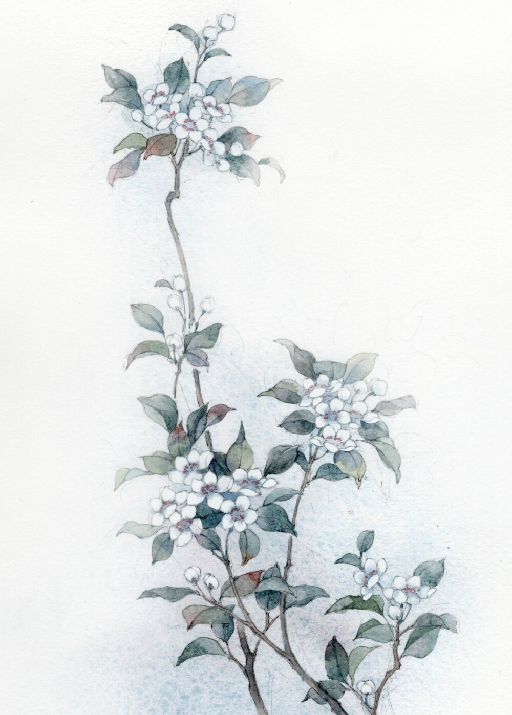 插画绘画 壁纸封面 手绘 水彩古风 美男 仕女赞评论更多