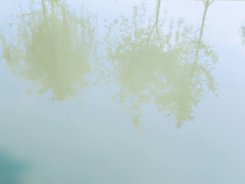 水里天空的样子