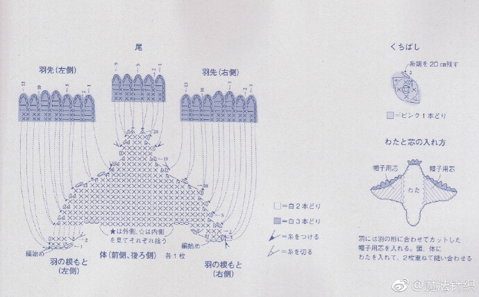 魔法针织的照片 - 微相册