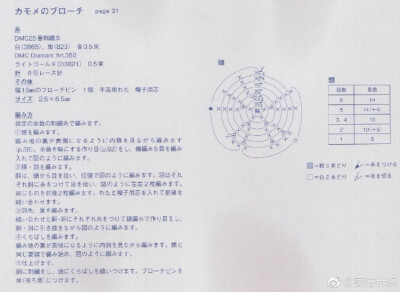 魔法针织的照片 - 微相册