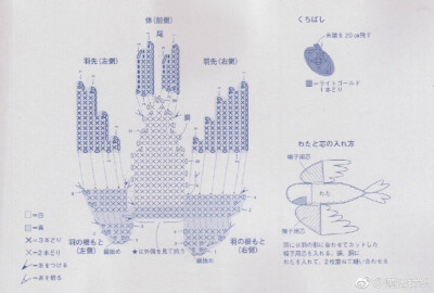 魔法针织的照片 - 微相册