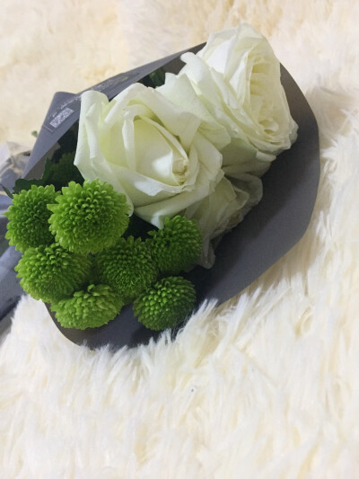 奶油玫瑰 雏菊