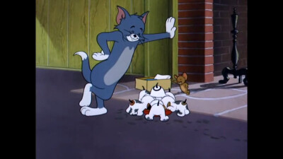 猫和老鼠 Tom and Jerry