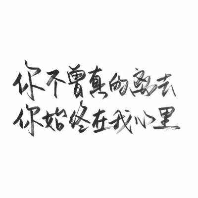 泼墨字,