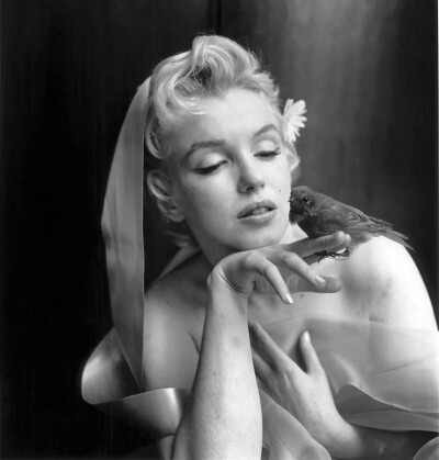 玛丽莲·梦露 Marilyn Monroe 如此性感迷人的明星脸上 一直闪烁着孩子般茫然的神情