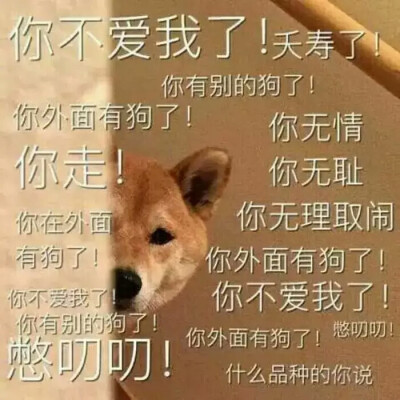 萌表情情头