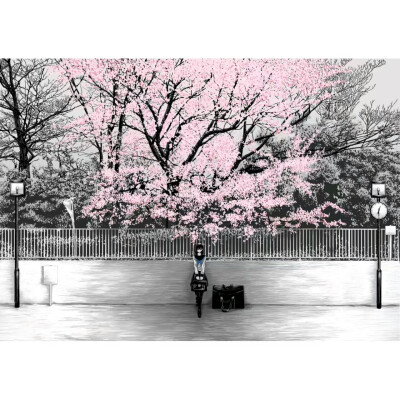 简约，白边，壁纸