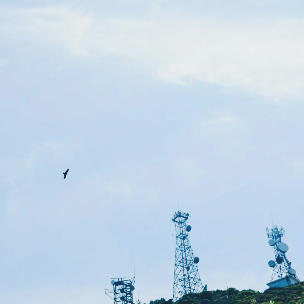 空/藍/飛鳥/外伶仃島