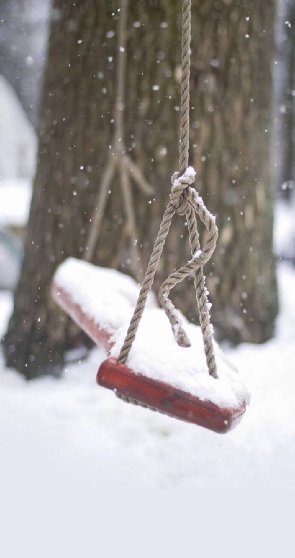 兔子壁纸
VX:cxm423712
Weibo:陳曉敏MIn-