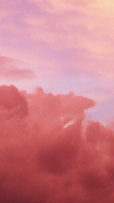 兔子壁纸
VX:cxm423712
Weibo:陳曉敏MIn-