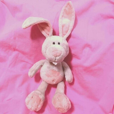 兔子壁纸
VX:cxm423712
Weibo:陳曉敏MIn-