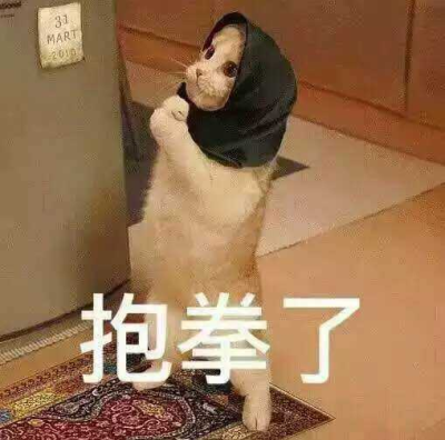 猫咪表情包