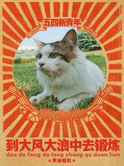 May.04 Thursday
五四，
新青年。
晚安！好梦！
