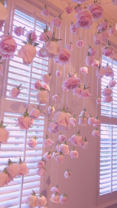 兔子壁纸
VX:cxm423712
Weibo:陳曉敏MIn-