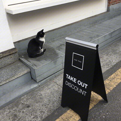 兔子壁纸
VX:cxm423712
Weibo:陳曉敏MIn-