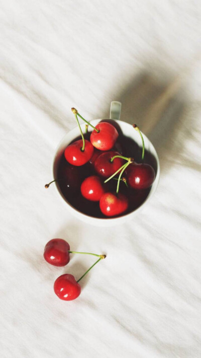 兔子壁纸
VX:cxm423712
Weibo:陳曉敏MIn-