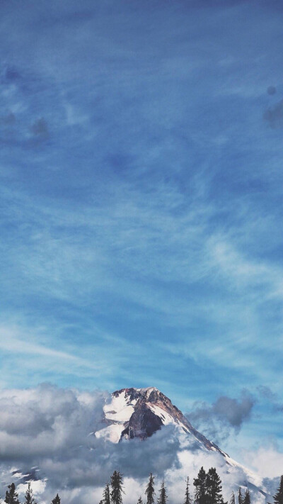 兔子壁纸
VX:cxm423712
Weibo:陳曉敏MIn-