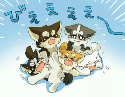 西太助的救助屋+（喵喵喵？）