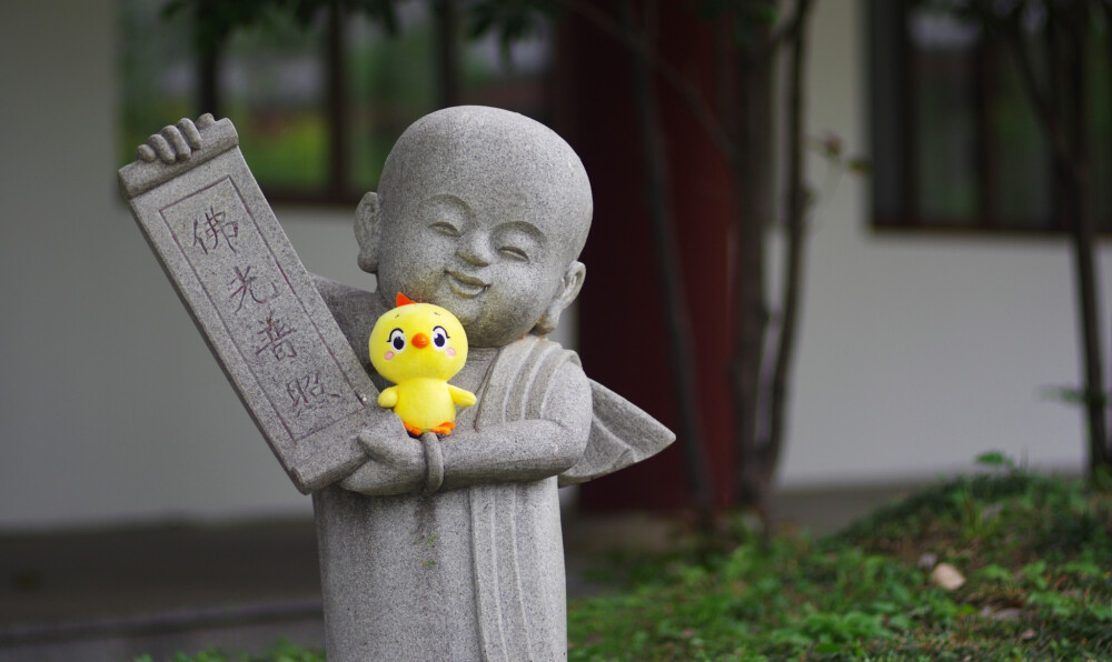 小黄鸡高登摄影作品（6）