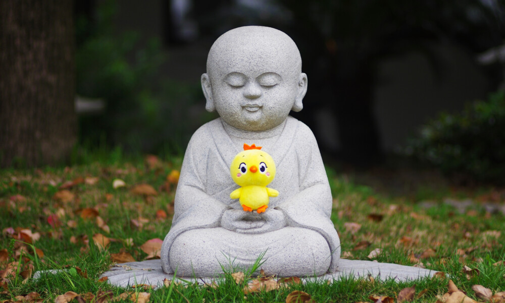 小黄鸡高登摄影作品（7）