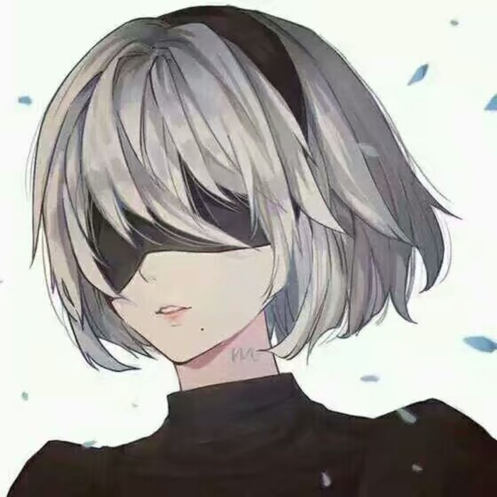 尼尔机械纪元，2B，9S，情头