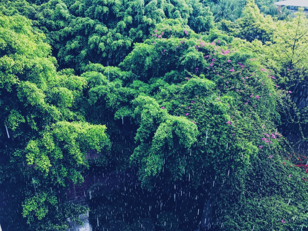 下的超大的对流雨，不过不出意料地，很快就停了