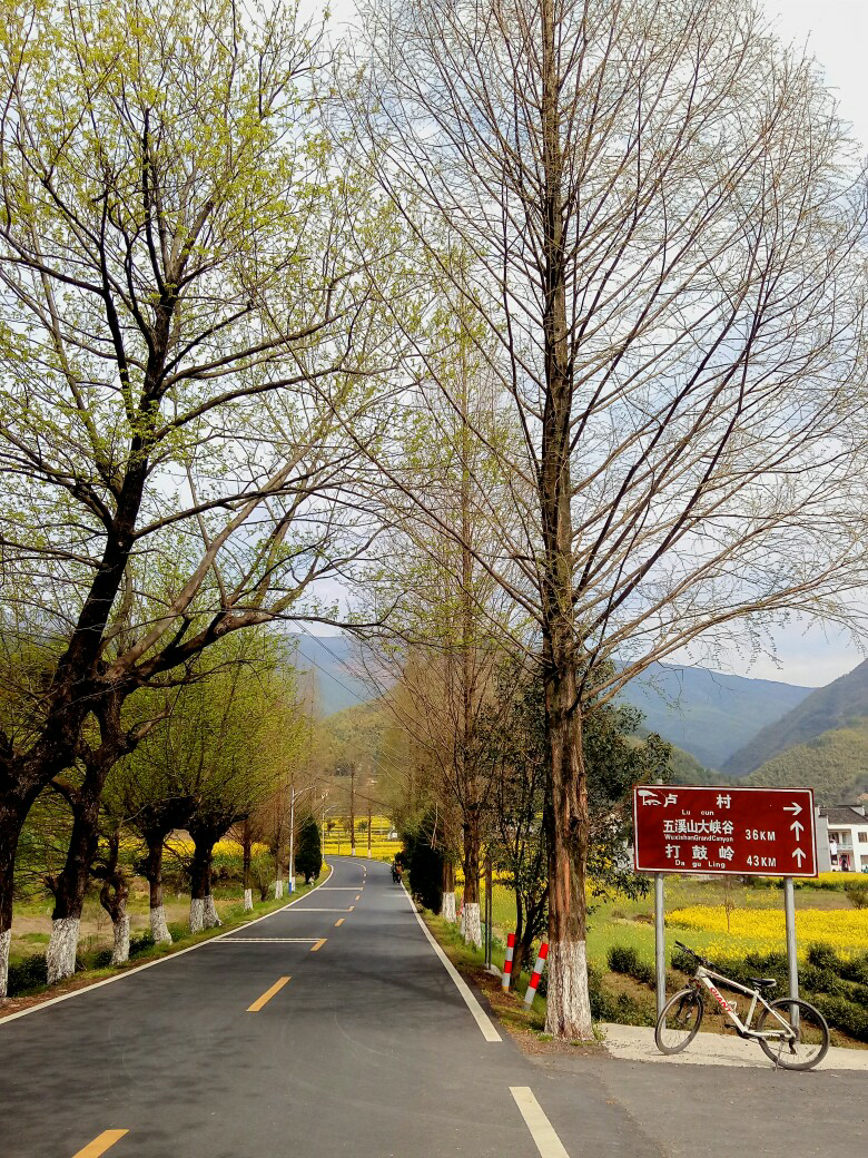 
清新祥和
-从宏村骑车去卢村，路程不远，四处皆美色