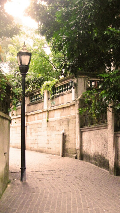 壁纸