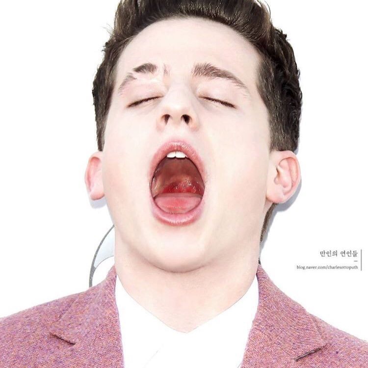 查理普斯Charlie Puth