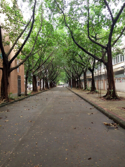 ＃雨后觉得自己学校很美