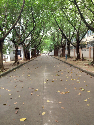 ＃雨后觉得自己学校很美