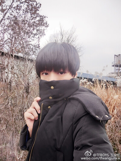 TFBOYS王俊凯 2015-11-22 。天气正好，自拍来电。