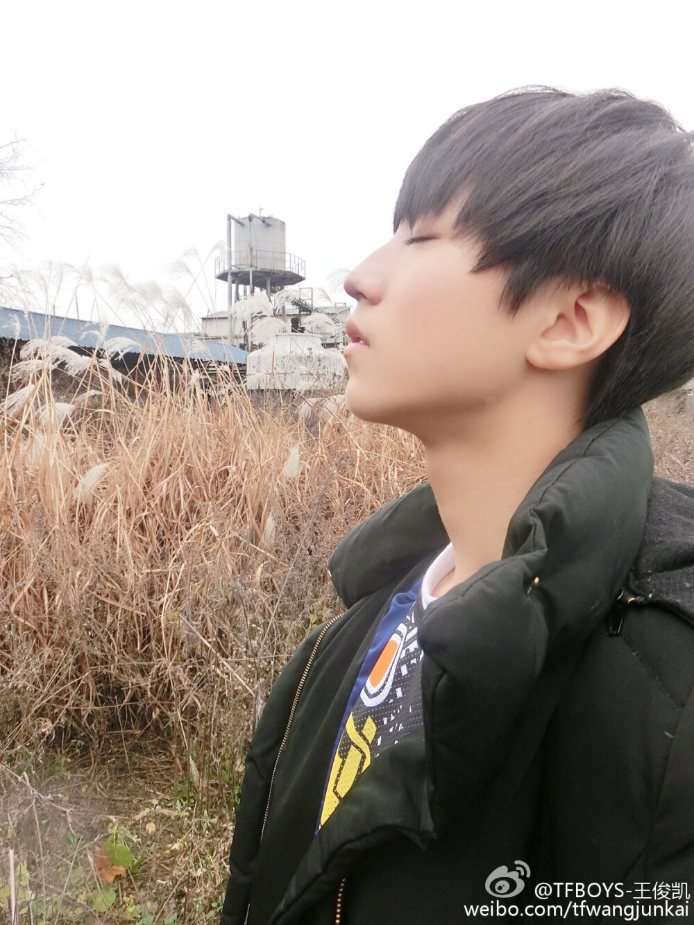 TFBOYS王俊凯 2015-11-22 。天气正好，自拍来电。