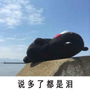 说多了都是泪