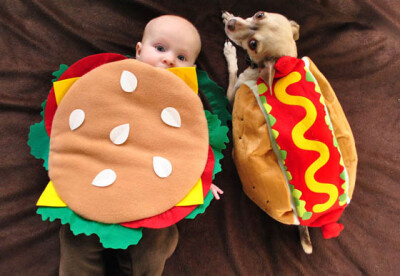 27 Creative and Funny Halloween Pet Costume Ideas