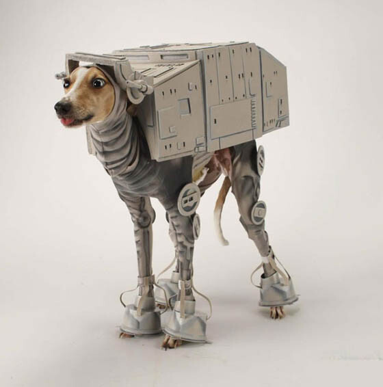 27 Creative and Funny Halloween Pet Costume Ideas