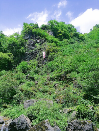 青城崖蜜。