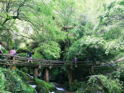 青城山道。