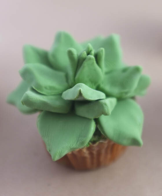 Realistic House Plant Cupcake by Alana Jones-Mann