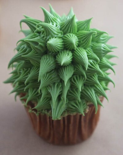 Realistic House Plant Cupcake by Alana Jones-Mann