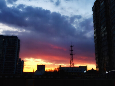 每次从健身房出来都能看见惊喜