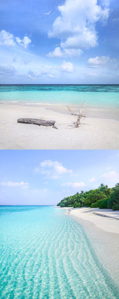 Maldives 马尔代夫 ​ ​​​