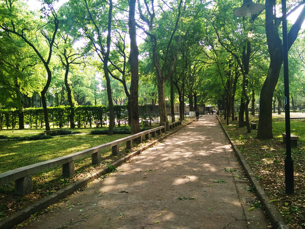 苏州大学