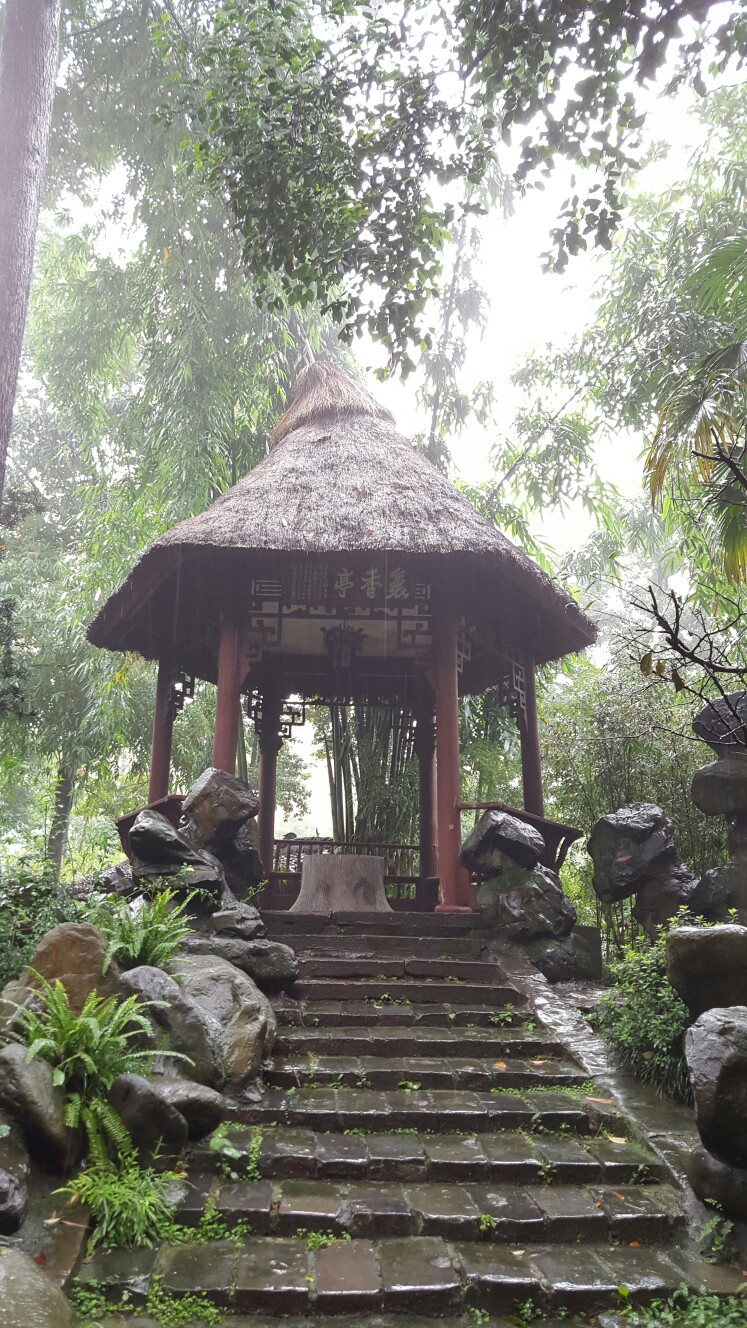 杜甫草堂~每天都会被雨淋