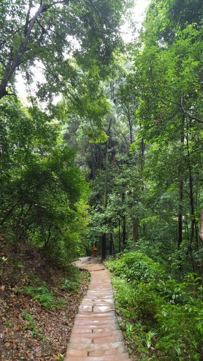 青城山~永远感觉山上只有我志几